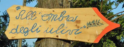 All'Ombra degli Ulivi B&B