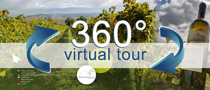 Click per visualizzare il Virtual Tour di Cantine Politi Agriturismo Montefiore