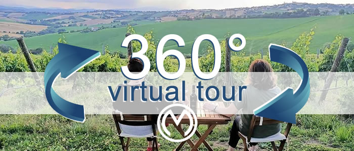 Click per visualizzare il Virtual Tour di Marconi Vini