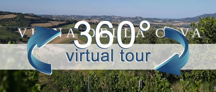 Click per visualizzare il Virtual Tour di Vigna della Cava